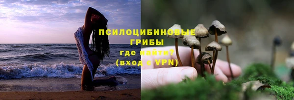 амф Арсеньев
