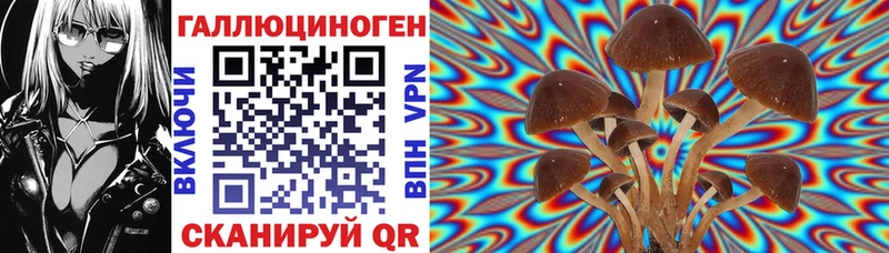 Купить закладки  Беломорск  Галлюциногенные грибы мицелий 