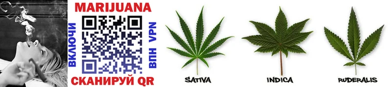 Бошки марихуана THC 21%  Купить  Беломорск 